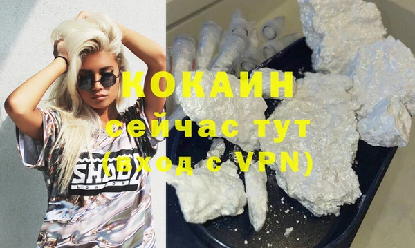 ГАЛЛЮЦИНОГЕННЫЕ ГРИБЫ Лагань