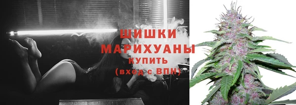 PSILOCYBIN Ладушкин
