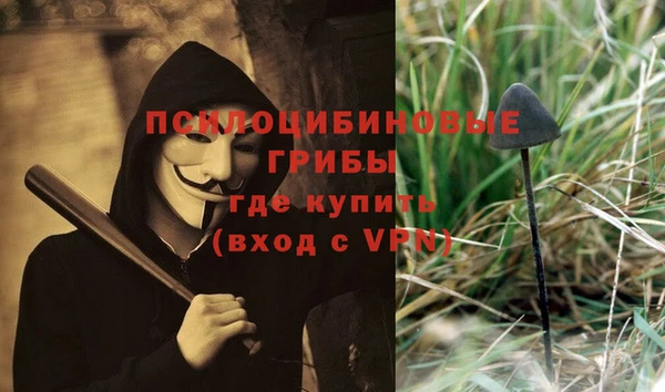 ГАЛЛЮЦИНОГЕННЫЕ ГРИБЫ Лагань