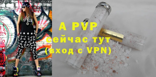 ГАЛЛЮЦИНОГЕННЫЕ ГРИБЫ Лагань
