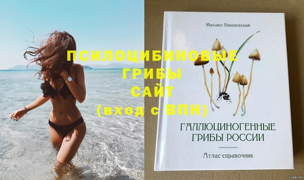 дживик Абдулино