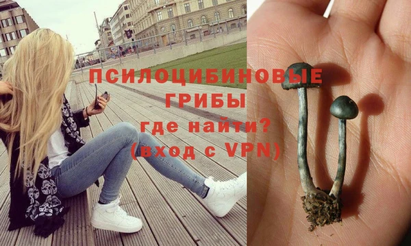 PSILOCYBIN Ладушкин