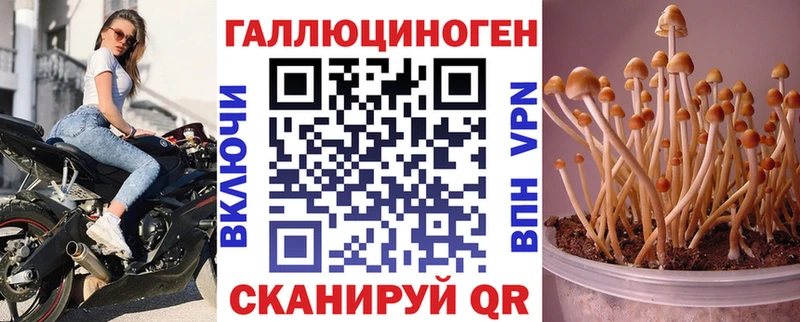 Псилоцибиновые грибы мицелий  магазин    Серпухов 