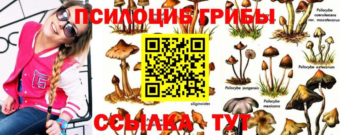 Псилоцибиновые грибы Psilocybine cubensis Серпухов